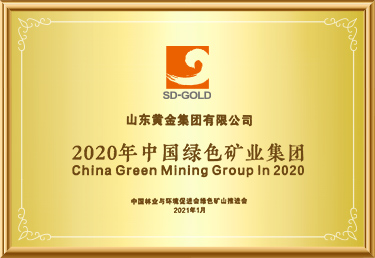 2020年中国绿色矿业集团